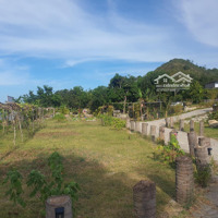 Đất Sát Khu Đô Thị Vĩnh Điềm Trung Giá Đầu Tư