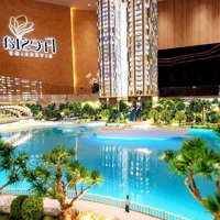 Bán Cc Fresia Riverside 1,56 Tỷ, 119,89M2, 2 Phòng Ngủ 2 Vệ Sinhtại Bùi Hữu Nghĩa, Tân Vạn, Biên Hòa