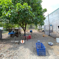 Đất Gần Big C Go Dĩ An, Hẻm Ô Tô, Xây Tự Do, Ngang 5M, 2302 Dĩ An Bình Dương