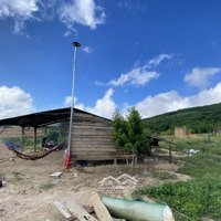 Bán Gấp Trang Trại Ở Sơn Giang, 150 Triệu, 10000M2 Đẹp, Nhiều Tiện Ích