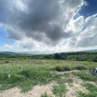 Bán Gấp Trang Trại Ở Sơn Giang, 150 Triệu, 10000M2 Đẹp, Nhiều Tiện Ích