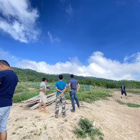 Bán Gấp Trang Trại Ở Sơn Giang, 150 Triệu, 10000M2 Đẹp, Nhiều Tiện Ích