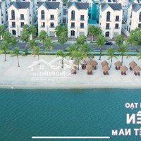 Bán Gấp Biệt Thự Đơn Lập Hải Âu 01, Nhìn Biển Nước Mặn. Giá Bán 68 Tỷ
