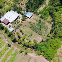 Cần Bán 11000M2 Đất Xã Phước Tân Huyện Xuyên Mộc Suối Bao Quanh Có Vườn Và Nhà Sẵn Giá Rẻ