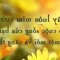 Bán Nhanh Căn Hộ Cc Tại Dic Phoenix, 3 Phòng Ngủ 2 Vệ Sinh Sổ Hồng Trao Tay Nhận Ngay Căn Hộ. Liên Hệ: 0909271407