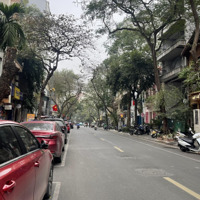 Bán Tòa Nhà Mặt Phố Thi Sách - Phường Phạm Đình Hổ - Hai Bà Trưng, Lô Góc, 110M2 X 10 Tầng, 98 Tỷ