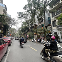 Bán Tòa Nhà Mặt Phố Thi Sách - Phường Phạm Đình Hổ - Hai Bà Trưng, Lô Góc, 110M2 X 10 Tầng, 98 Tỷ