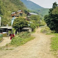 Mảnh Đất Bám Suối To Quanh Năm, Nước Sạch Trong Vắt Có Thể Khai Thác Du Lịch.