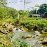 Mảnh Đất Bám Suối To Quanh Năm, Nước Sạch Trong Vắt Có Thể Khai Thác Du Lịch.