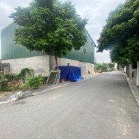 Chính Chủ Gửi Bán Đấu Giá X5 Du Nội, Xã Mai Lâm.