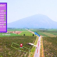 Siêu Phẩm Nền Mặt Tiền Kinh Doanh- View Núi Bà Sổ Sẵn Giá Cực Mềm