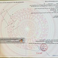 Bán Đất Sổ Hồng, Mặt Tiền Thích Quảng Đức. Tđc Phước Long Gần Trục Đường 28
------
-Diện Tích : 156