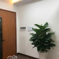 Cho Thuê Cc Lotus Garden, Trịnh Đình Thảo, Tp: 95M2, 3P Ngủ, Full Nt 12 Triệu/Th