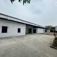 Cho Thuê Kho Xưởng 500–1000m² Tại Ngọc Hồi, Thanh Trì – Giao Thông Thuận Lợi, Giá Cạnh Tranh!