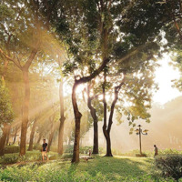 Bán Sky Linked Villa Celadon City Tầng 2-4 Xe Ô Tô Chạy Lên Tới Nhà, Ngay Đại Lộ Celadon City