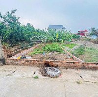 Nhỉnh 3 Tỷ Sỡ Hữu Lô Đất 60,6M Đường Ô Tô Vào Tận Đất!