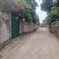 Bán Đất.nghĩa Sơn Kim Sơn Son Tây, Diện Tích: 2160M.tc 300M. Giá Bán 6, 5 Triệuiệu/M2