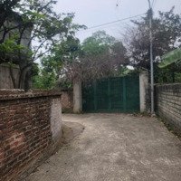Bán Đất.nghĩa Sơn Kim Sơn Son Tây, Diện Tích: 2160M.tc 300M. Giá Bán 6, 5 Triệuiệu/M2