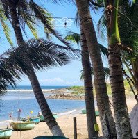 Cần Bán Đất 320M2 Giá Ngộp Xuân Thuỷ_Hòn Rơm _Mũi Né_Tp Phan Thiết