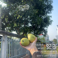 Bán Đất Thổ Cư Giá Đầu Tư Tại Mỹ Yên, Bến Lức, Long An. Có 4 Nền Liền Kề, 100M2, 1Tỷ250