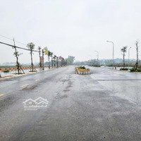 156 Mảnh Đất Đẹp Vị Trí Vàng Sinh Lời Bền Vững.mai Lâm Đông Anhdiện Tích56M Giá Chỉ 9Xty
