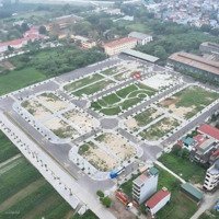 156 Mảnh Đất Đẹp Vị Trí Vàng Sinh Lời Bền Vững.mai Lâm Đông Anhdiện Tích56M Giá Chỉ 9Xty