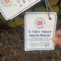 Bán Đất Tặng Nhà Cấp 4 + 20M2 Lưu Không
