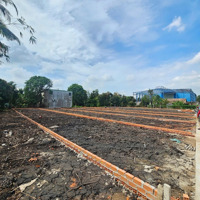 6 Lô Vừa Tách, Sổ Riêng 198M2 ( Ngang 5,5M ) Xây Dựng Tự Do. Quá Rẻ