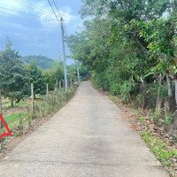 Bán Ts 1300M2 Tại Đạ Tẻh - Lâm Đồng - Vị Trí Đẹp - Giá Thỏa Thuận.