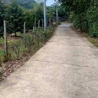 Bán Ts 1300M2 Tại Đạ Tẻh - Lâm Đồng - Vị Trí Đẹp - Giá Thỏa Thuận.