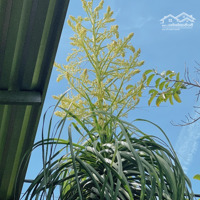 Chào Bán 500M 2Mt Tân Khai Phường Điện Dương Giá Tốt