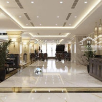 Bán Khách Sạn 4 Sao Phố Nguyễn Thị Định, 520M Xây 9 Tầng, 8 Nổi 1 Hầm, 2 Thang Máy,Mặt Tiền15M
