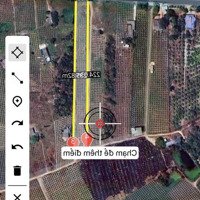 Mặt Tiền Nhựa Giá Rẻ Nhất Khu Vực Tân Thành, Hàm Thuận Nam, Giá Chỉ 1.4 Triệu/M2 0937024431