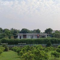 Bán Đất 1000M Khu Nghỉ Dưỡng Gần Sân Golf Hà Nội Và Hồ Đồng Đò