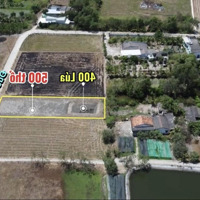 960M2 Có 500 Thổ Cư Cách Chợ Cần Đước 2Km