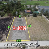 960M2 Có 500 Thổ Cư Cách Chợ Cần Đước 2Km