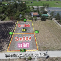 960M2 Có 500 Thổ Cư Cách Chợ Cần Đước 2Km