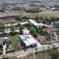 529M2 Thổ Cư 12X43 Dt826C Đông Thạnh, Cần Giuộc