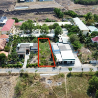 529M2 Thổ Cư 12X43 Dt826C Đông Thạnh, Cần Giuộc