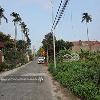 Bán Lô Đất Siêu Phẩm
Đường Nhựa Xã Lâm Động, Thủy Nguyên