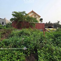Bán Lô Đất Siêu Phẩm
Đường Nhựa Xã Lâm Động, Thủy Nguyên