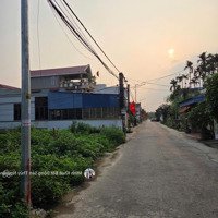 Bán Lô Đất Siêu Phẩm
Đường Nhựa Xã Lâm Động, Thủy Nguyên