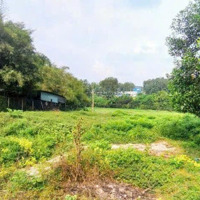 Bán 3.500M2 Đất Long Đức Gần Sân Bay Long Thành Chỉ 6,5 Tỷ
