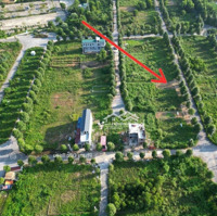 Chính Chủ Bán Lô Góc 73.9M2 Tđc Đhqg