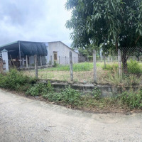 Bán Đất Tại Xã Cam Hiệp Nam, Cam Lâm, Khánh Hòa, Giá Ưu Đãi 2,6 Tỷ, 618M2