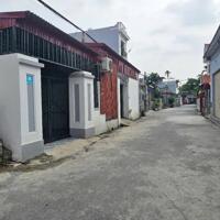  Bán đất tặng nhà cấp 4 mặt ngõ 216 Cát Linh, Tràng Cát 99m2 giá chỉ 24tr/m2