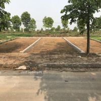 Chính Chủ Bán 65M2 2 Vỉa Hè Khu Tđc Đhqg Giá Tốt Nhất