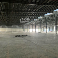 Kho Xưởng 10.000M² Có Pccc Tự Động Và Trạm Điện 3 Pha, Trong Khu Công Nghiệp Trà Nóc, Lộ Container