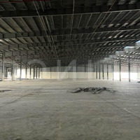 Kho Xưởng 10.000M² Có Pccc Tự Động Và Trạm Điện 3 Pha, Trong Khu Công Nghiệp Trà Nóc, Lộ Container
