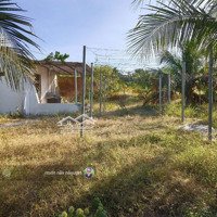 Bán Đất Thiện Nghiệp Cạnh Biển Và Sân Bay